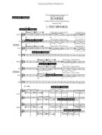 Ola Gjeilo: Sunrise Mass - SSAATTBB (noty pro sborový zpěv, smyčce, partitura)