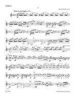 Antonín Dvořák: String Quartet No. 12 In F Major Op. 96 American Quartet / Americký kvartet (noty pro smyčcový kvartet)