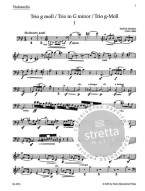 Bedřich Smetana: Trio G minor Op.15 (noty na housle, violoncello, klavír)