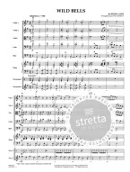 Henry Lahee: Wild Bells (snadné noty pro smyčcový orchestr, party, partitura)