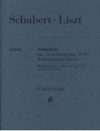 Liszt-Schubert : Resting Place from 