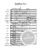 Gustav Mahler: Symphonies Nos. 1 And 2 (noty, partitura)