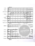 Johannes Brahms: Piano Concertos Nos. 1 And 2 (noty, partitura)