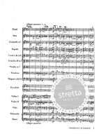 Frédéric Chopin: The Piano Concertos (noty, partitura)