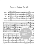 Franz Schubert: Complete Chamber Music For Strings (noty, partitura)