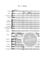 Petr Iljič Čajkovskij: Swan Lake And The Sleeping Beauty (noty, partitura)