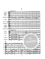 Petr Iljič Čajkovskij: Symphony No.5 In E Minor, Op.64 (noty, partitura)