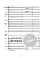 Modest Petrovič Musorgskij: A Night On Bald Mountain (noty, partitura)