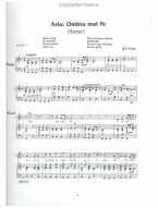 Beginning Tenor Solos (noty na klavír, zpěv)(+audio)
