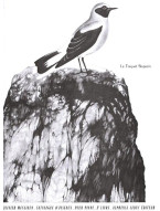 Olivier Messiaen: Catalogue D'Oiseaux, Pour Piano, Livre 2 (noty na klavír)