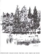 Olivier Messiaen: Catalogue D'Oiseaux, Pour Piano, Livre 5 (noty na klavír)