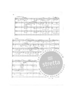 Edward Elgar: Serenade in E minor op. 20 (noty pro smyčcový orchestr, party)(+audio)