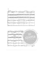 Edward Elgar: Serenade in E minor op. 20 (noty pro smyčcový orchestr, partitura)
