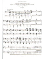 Franz Liszt: Piano Works - Free Arrangements 8 (noty na klavír)