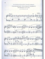 Franz Liszt: Piano Works - Free Arrangements 13 (noty na klavír)