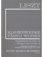 Franz Liszt: Piano Works - Transcriptions 7 - II/22 (noty na klavír)