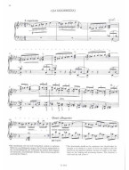 Franz Liszt: Piano Works - Studies 2 (noty na klavír)