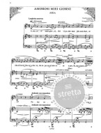 Stefano Donaudy: 36 Arias in Antique Style - Low Voice (noty na klavír, zpěv)