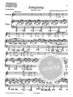 Richard Strauss: Lieder Volume 1 (noty na klavír, zpěv)