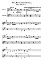Easy Classics (noty na altsaxofon, klavír)(+audio)