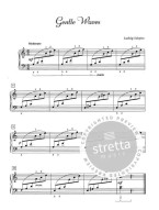 Beautiful Etudes 2  (noty na klavír)