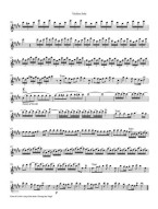 Antonio Vivaldi: Concerto E major op. 8, No. 1 