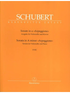 Franz Schubert: Sonata in A minor - Arpeggione D 821 (noty na violoncello, klavír)