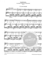 Robert Schumann: Liederkreis Op. 39 - Medium Voice (noty na klavír, zpěv)