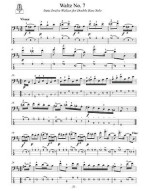 Domenico Dragonetti: 12 Waltzes for Electric Bass Solo (noty, tabulatury na baskytaru)(+audio)