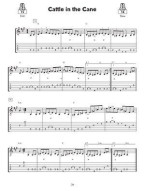 Jeff Troxel: A Study in Flatpicking - 20 Tunes & Variations (noty, tabulatury na kytaru)(+audio)