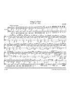 Franz Schubert: Allegro in A minor op. post. 144 D 947 (noty na čtyřruční klavír)