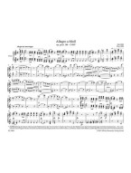 Franz Schubert: Allegro in A minor op. post. 144 D 947 (noty na čtyřruční klavír)