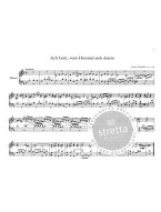German Chorale Preludes of the 17th and 18th Cent. (noty na varhany)