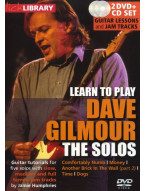 Lick Library: Learn To Play Dave Gilmour - The Solos (video škola hry na kytaru)
