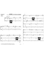 Rod Stewart: Sailing (noty pro koncertní orchestr, party, partitura)