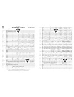 Max Steiner: A Summer Place Theme (noty pro koncertní orchestr, party, partitura)