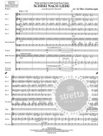Die Ärzte: Schrei nach Liebe (noty pro 5-členný flexibilní orchestr, partitura, party)