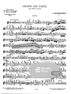 Jules Demersseman: Demersseman: Grand air varié op. 3 Le trémolo Jules Demersseman: Demersseman: Grand air varié op. 3 Le trémolo