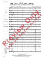 Selections from Harry Potter and the Goblet of Fire (noty pro školní orchestr, party, partitura)