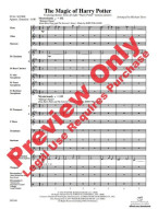 The Magic of Harry Potter (noty pro školní orchestr, party, partitura)