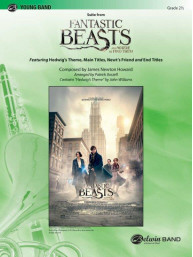 Suite from Fantastic Beasts and Where To Find (noty pro školní orchestr, party, partitura)