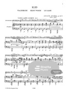 Antonín Dvořák: Silent Woods (noty na violoncello, klavír)