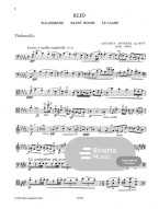 Antonín Dvořák: Silent Woods (noty na violoncello, klavír)