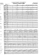 Johann Strauss: Tritsch-Tratsch Polka (noty pro koncertní orchestr, party, partitura)