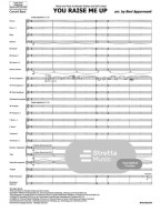 You Raise Me Up (noty pro koncertní orchestr, party, partitura)