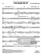 You Raise Me Up (noty pro koncertní orchestr, party, partitura)