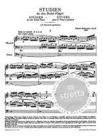 Robert Schumann: Sämtliche Klavierwerke 5 (noty na klavír)