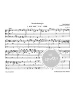 Dietrich Buxtehude: Sämtliche Orgelwerke 3 (noty na varhany)