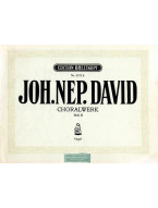 Johann Nepomuk David: Choralwerk 2 (noty na varhany)