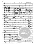 W.A. Mozart: Andante C-dur KV 315 (noty, partitura)